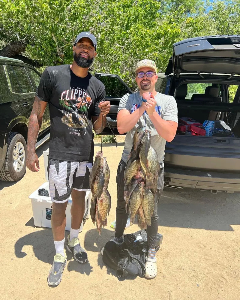 中的快速调 中的快速调